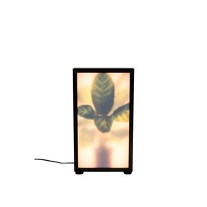 FLOOR LAMP GROW M