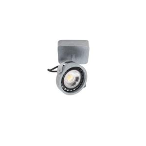 SPOT LIGHT DICE-1 DTW GALVANISED