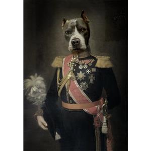 Pitbull Heer